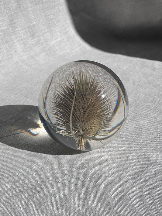 Teasel Paperweight - Small