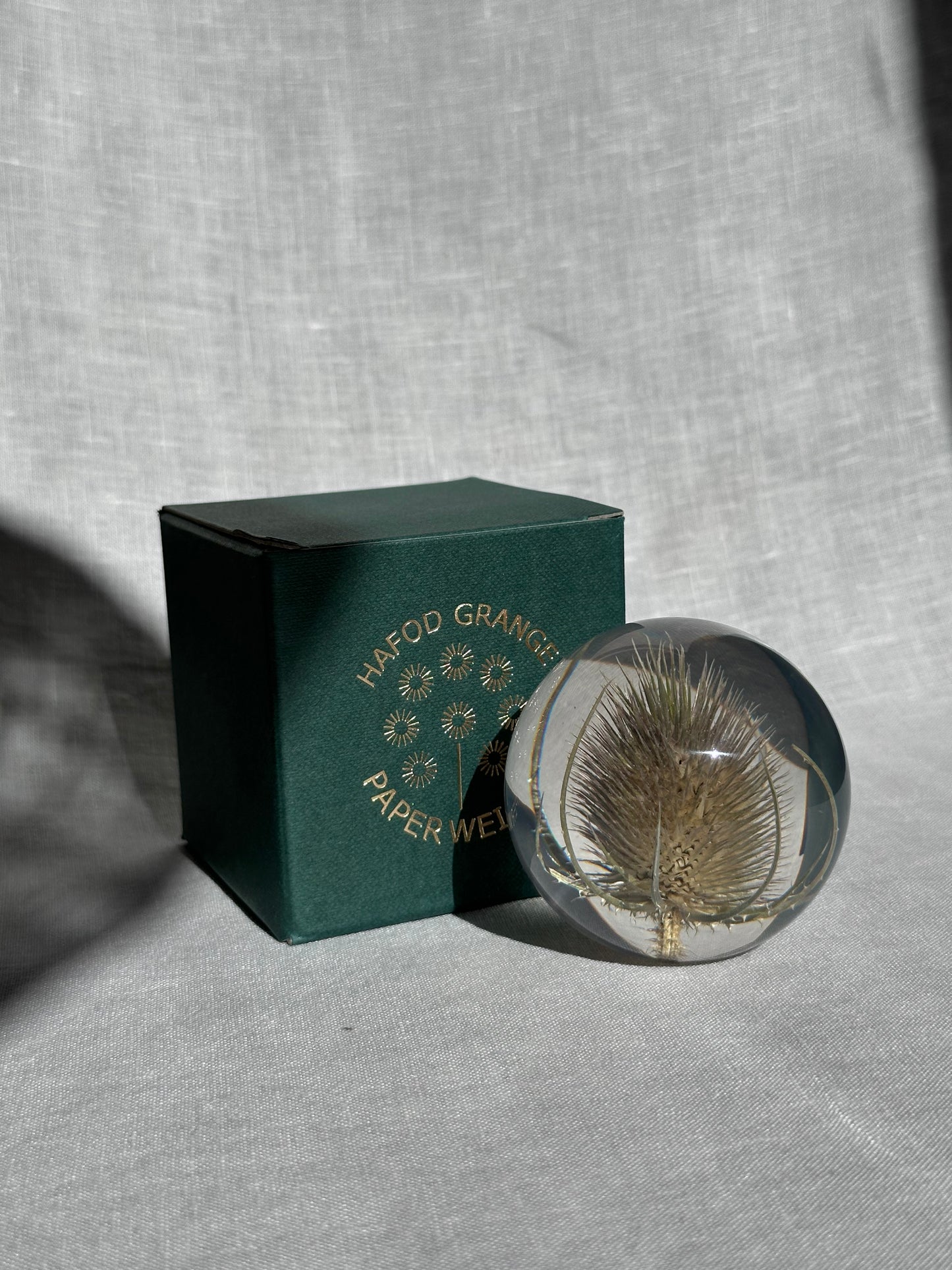 Teasel Paperweight - Small