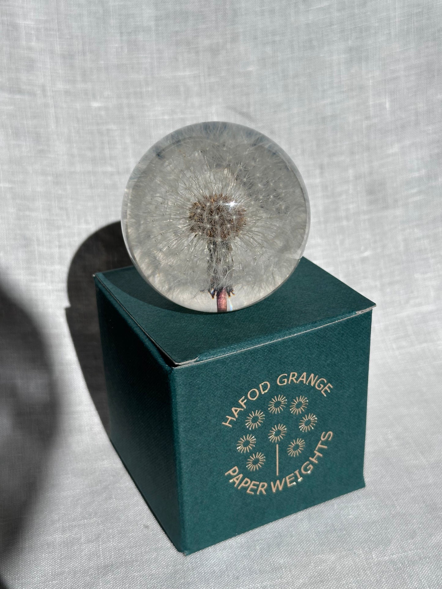 Dandelion Paperweight - Small