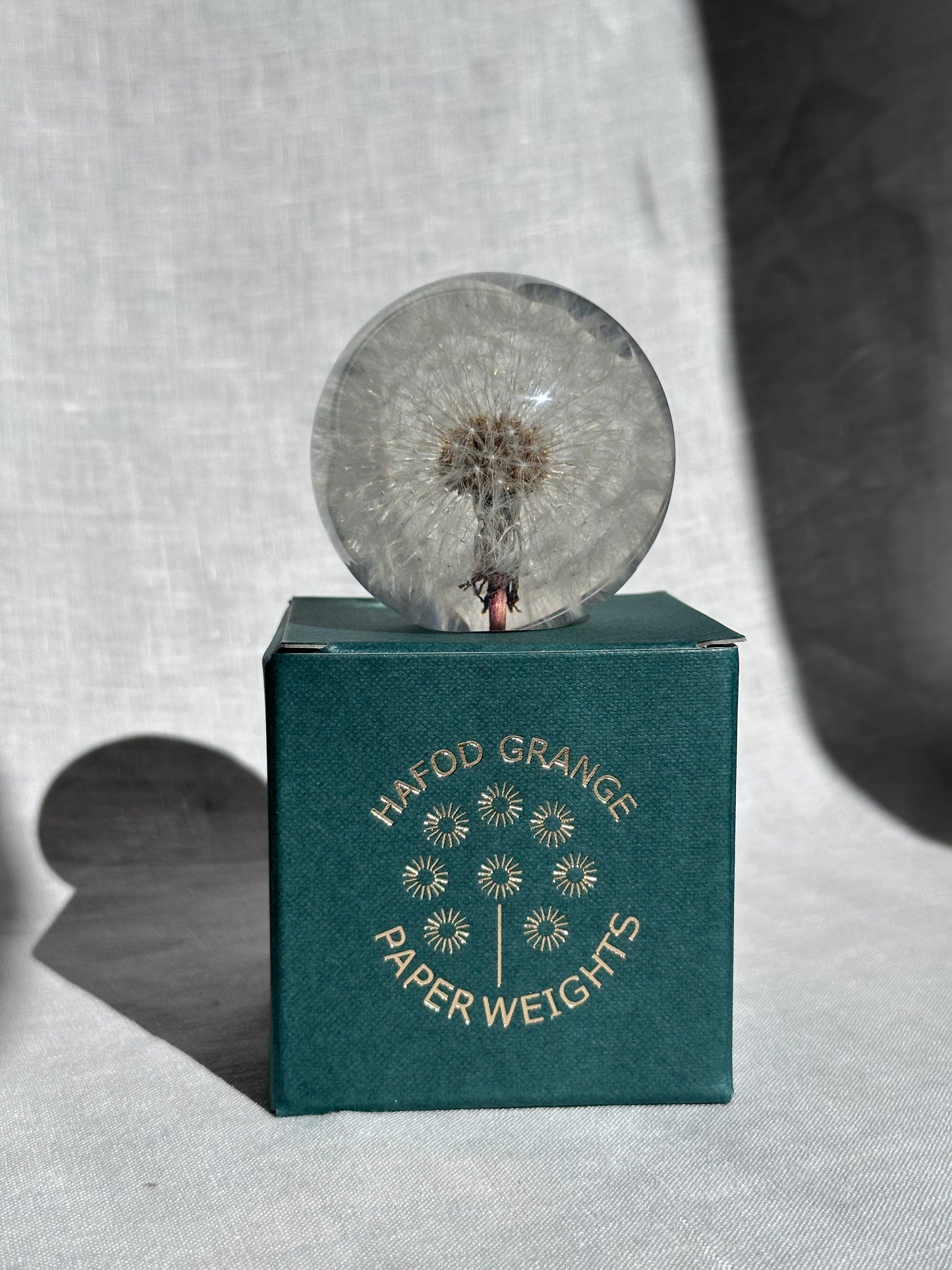 Dandelion Paperweight - Small