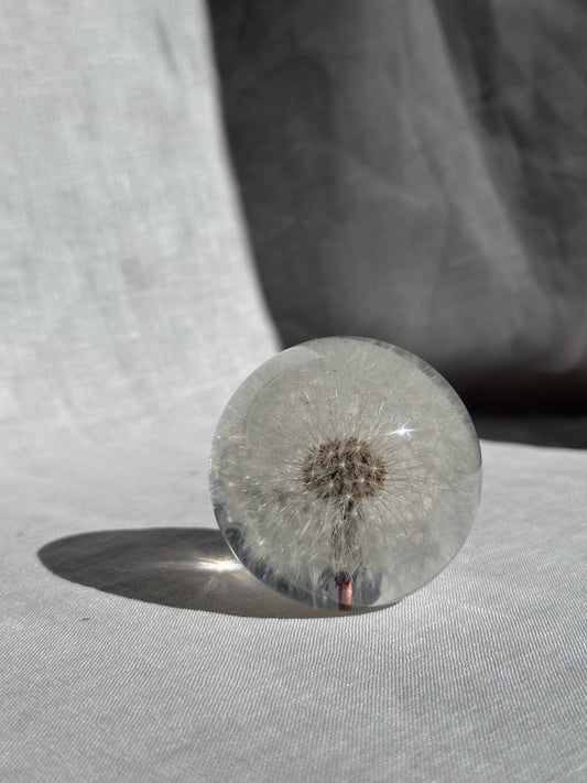 Dandelion Paperweight - Small