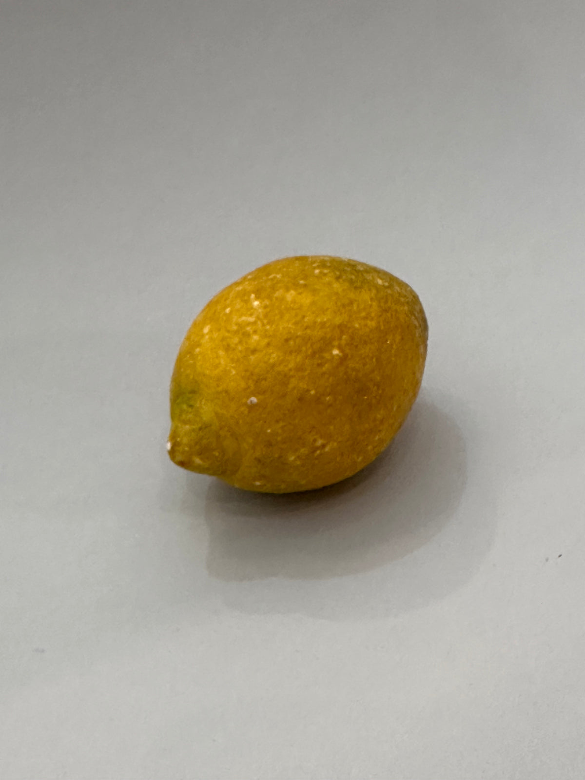 Antique Marble Fruit - Lemon