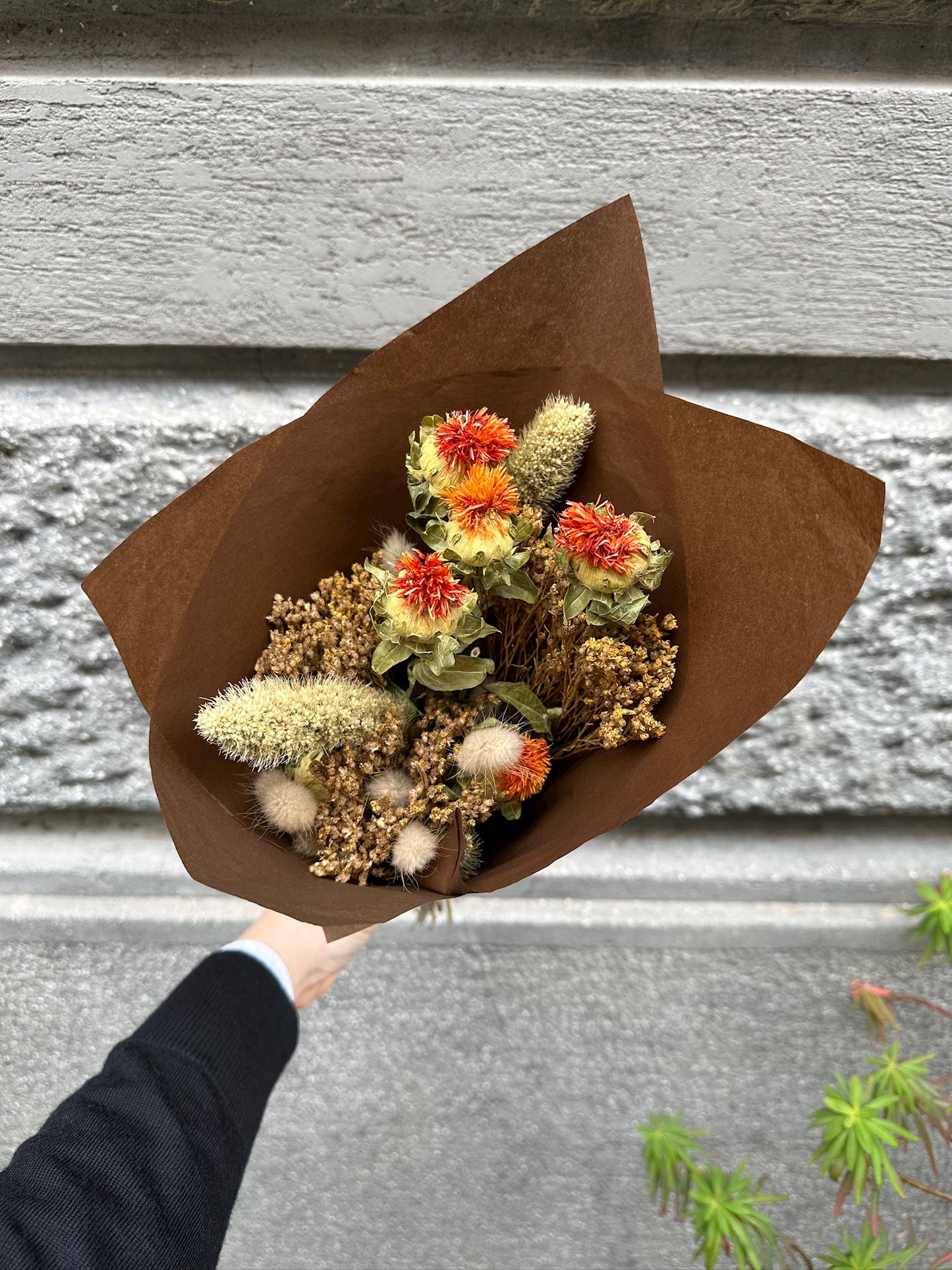 V.VM Bouquet di fiori secchi - Pampa morbida