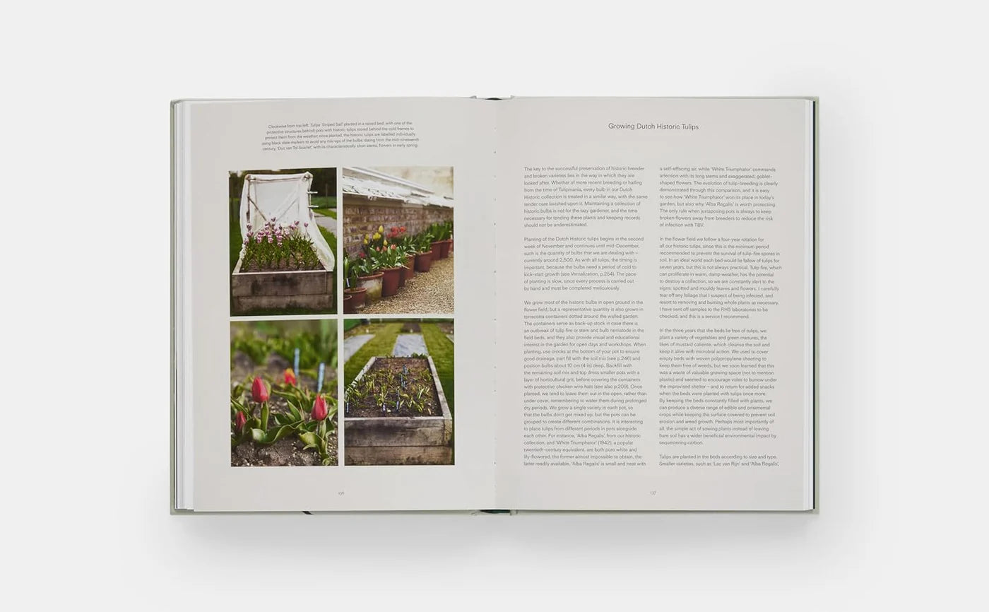 The Tulip Garden Book