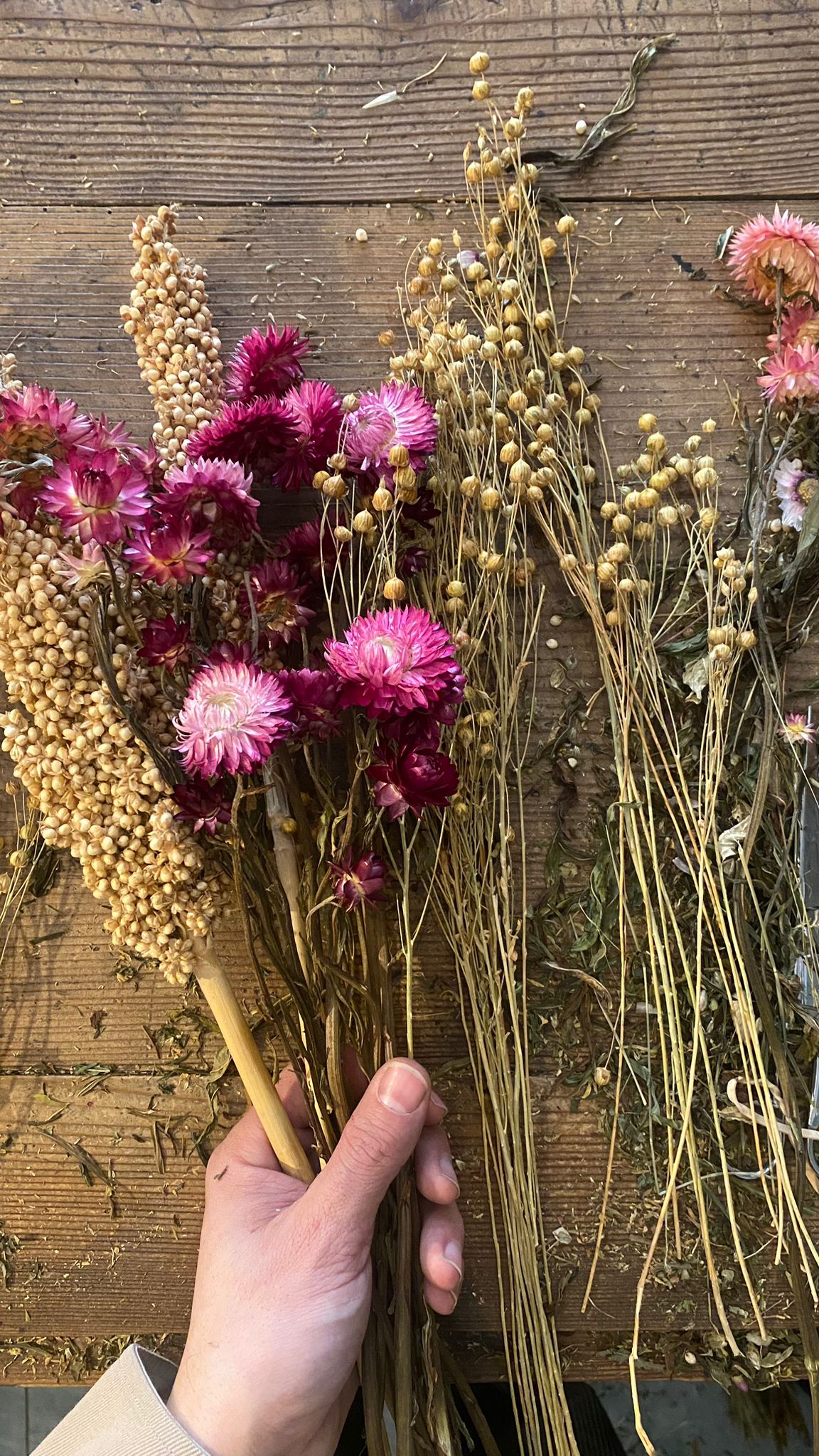 Bouquet di fiori secchi V.VM - Blush e Bashful