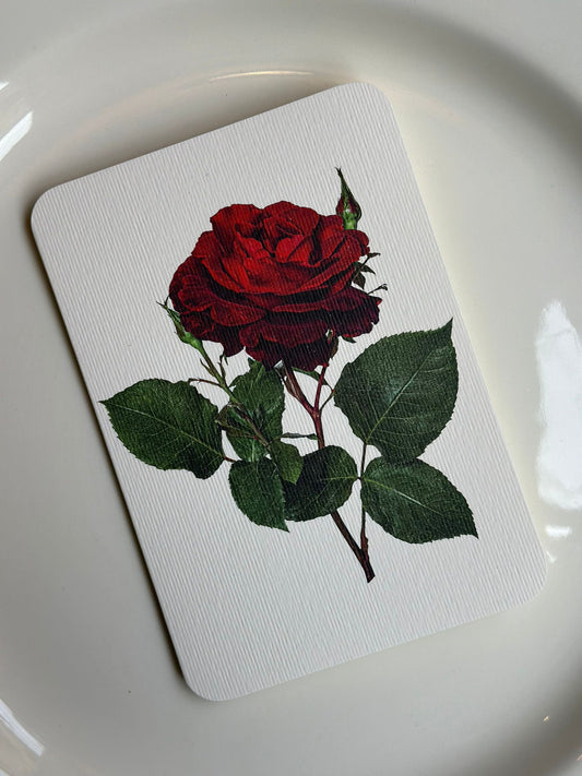 Card & Envelope - Red Rose