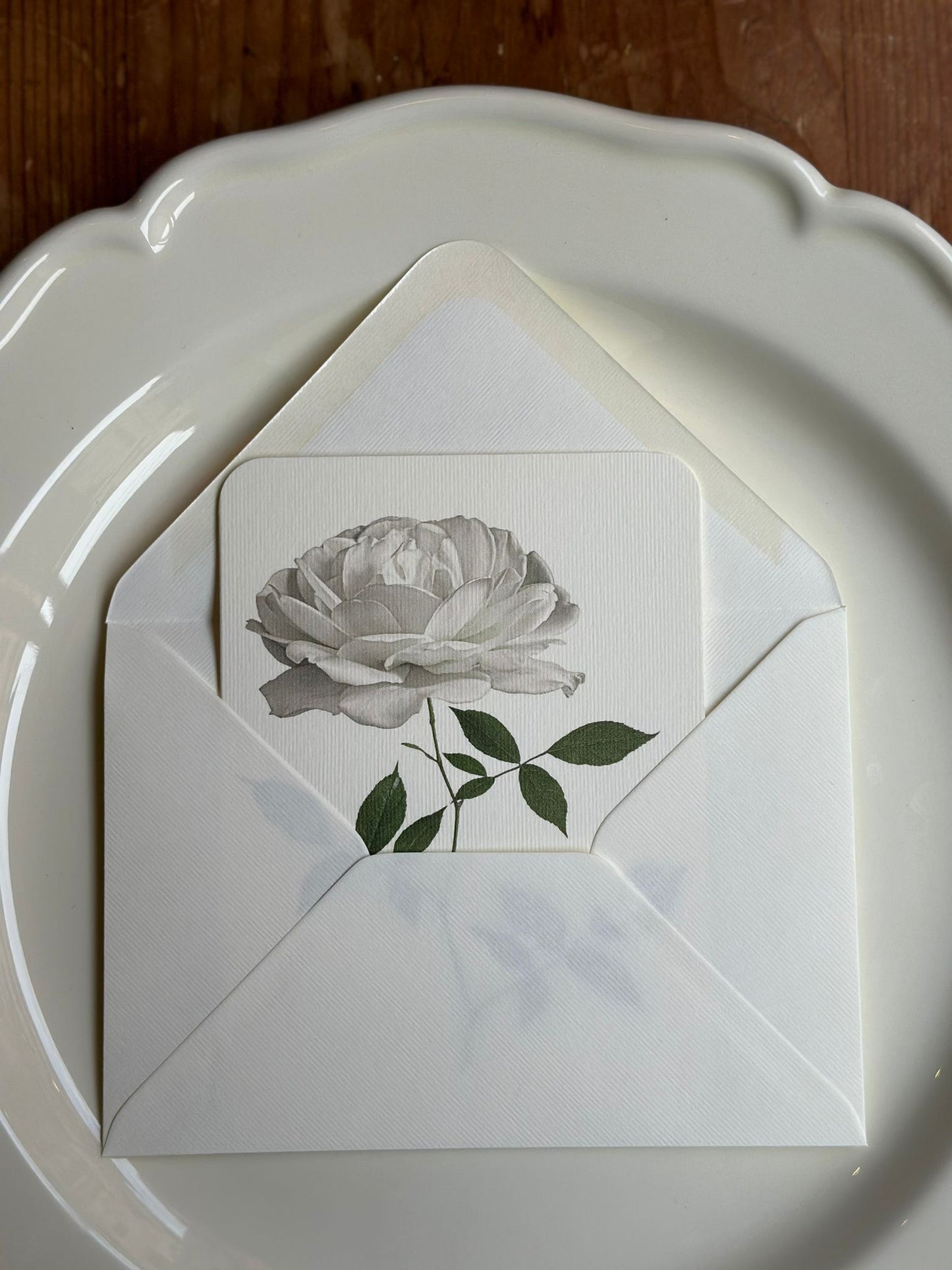 Card & Envelope - White Rose