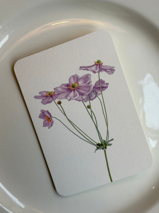 Card & Envelope - Anemone