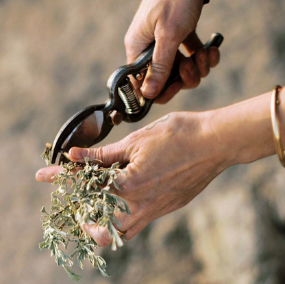 Garden Pruner & Sheath