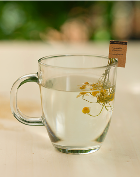 Stem Infusions - Chamomile