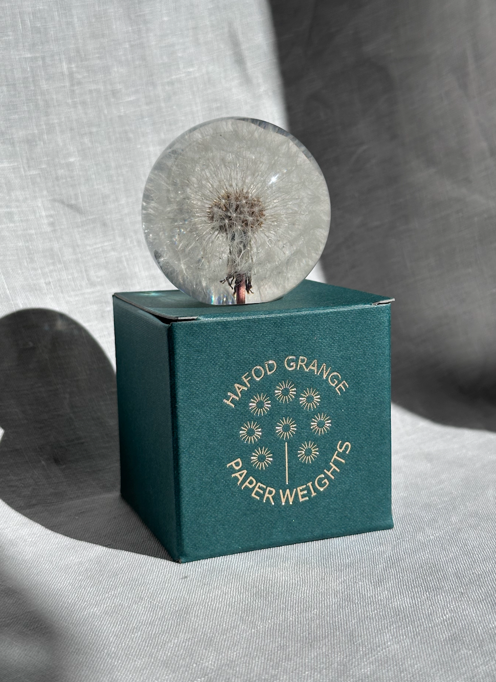 Dandelion Paperweight - Large