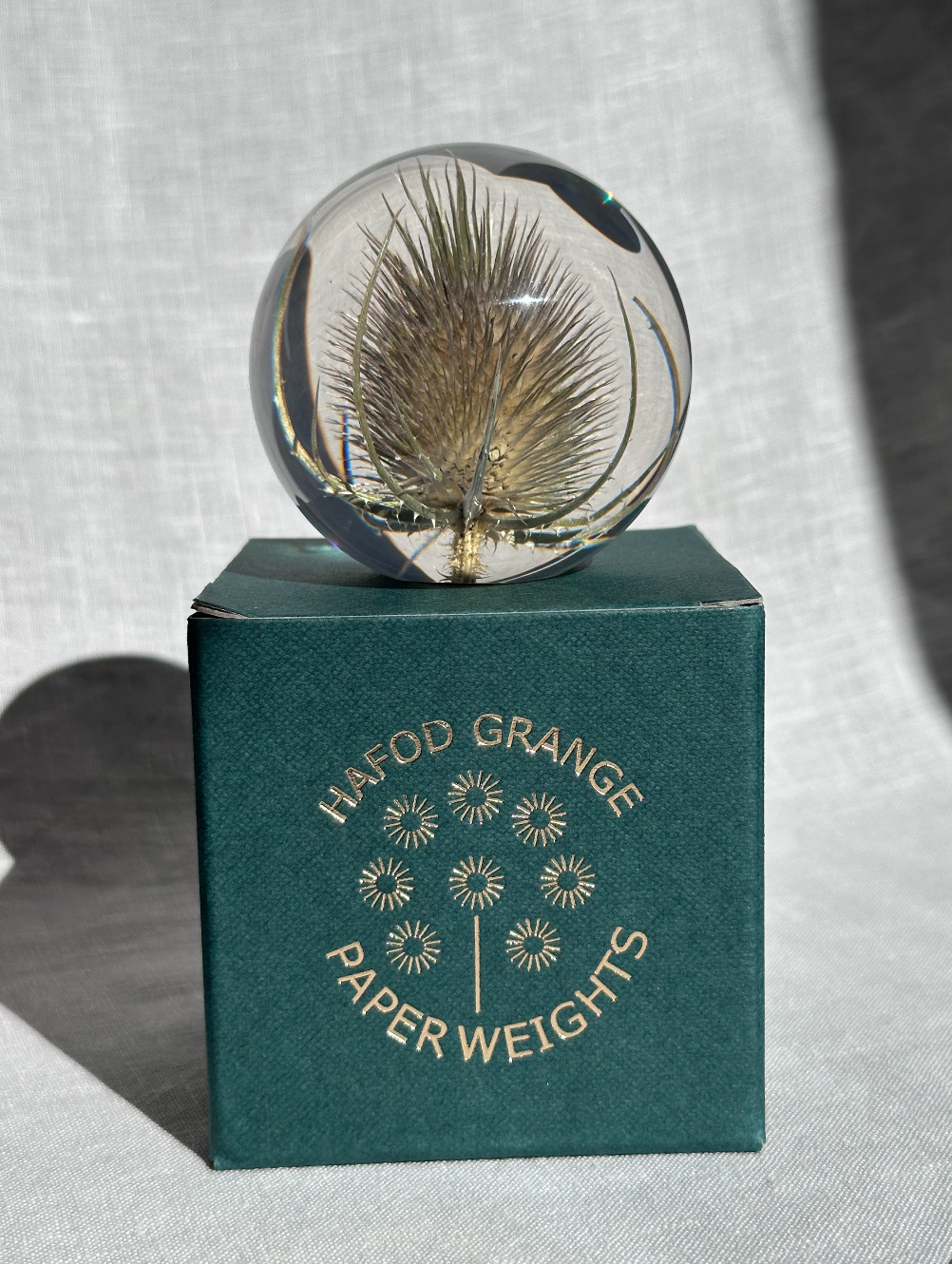 Teasel Paperweight - Large