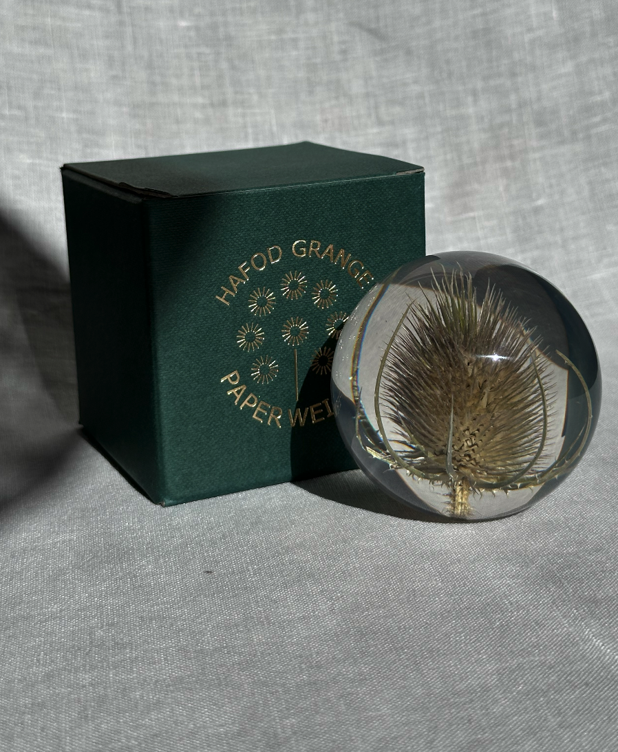 Teasel Paperweight - Large