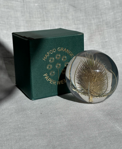 Teasel Paperweight - Large