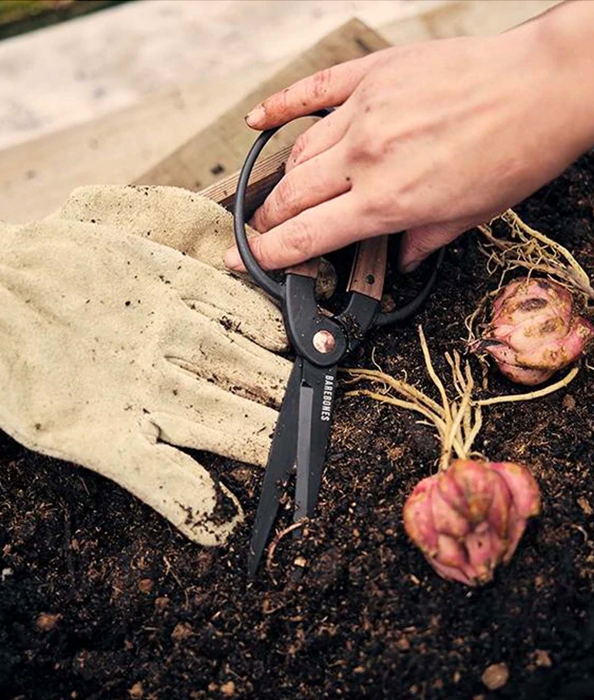 Walnut Garden Scissors - Large