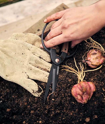 Walnut Garden Scissors - Large