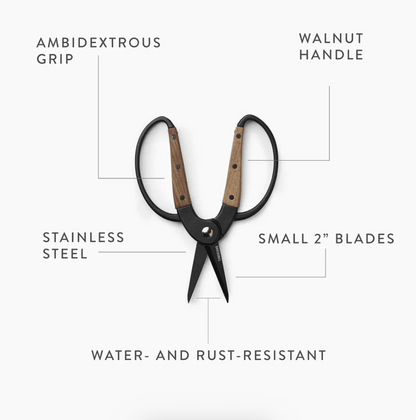 Walnut Garden Scissors - Small