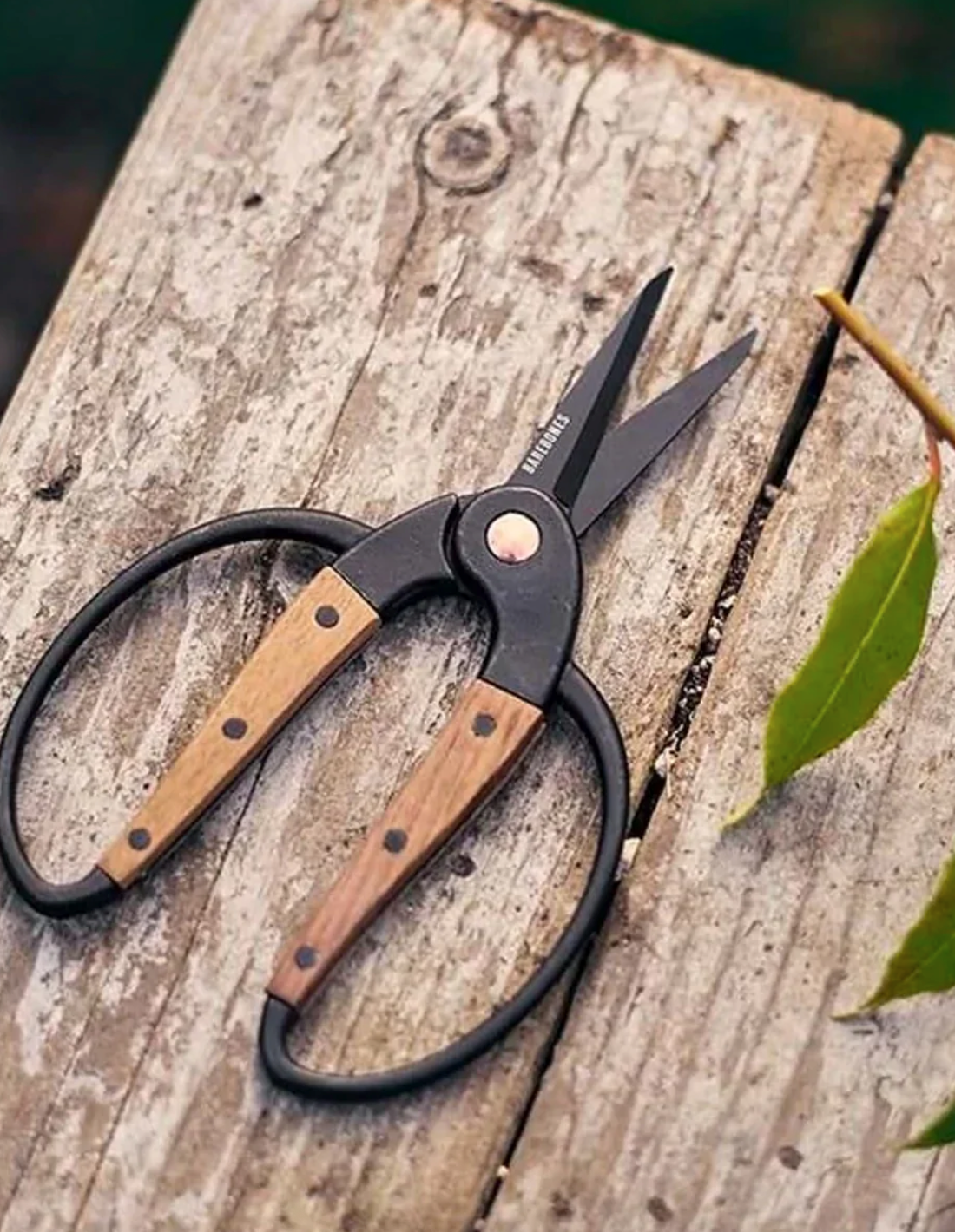 Walnut Garden Scissors - Small
