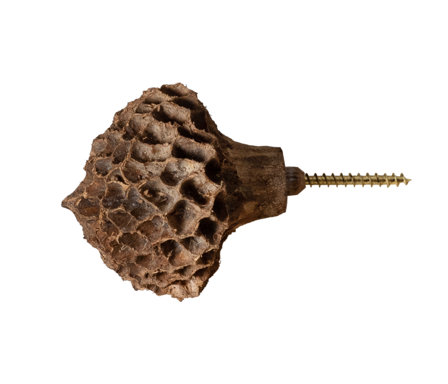 Molaris Hangers Magnolia Set of 2 - Let's Pause
