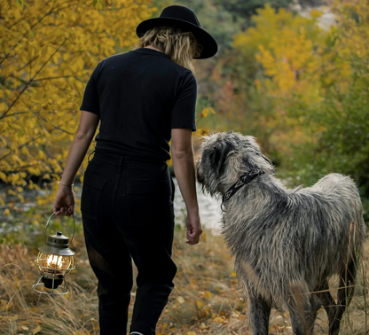 Railroad Lantern - Antique Bronze