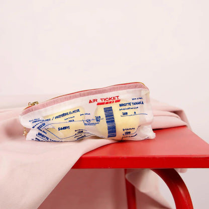 Brigitte Tanaka - Airline Ticket Case