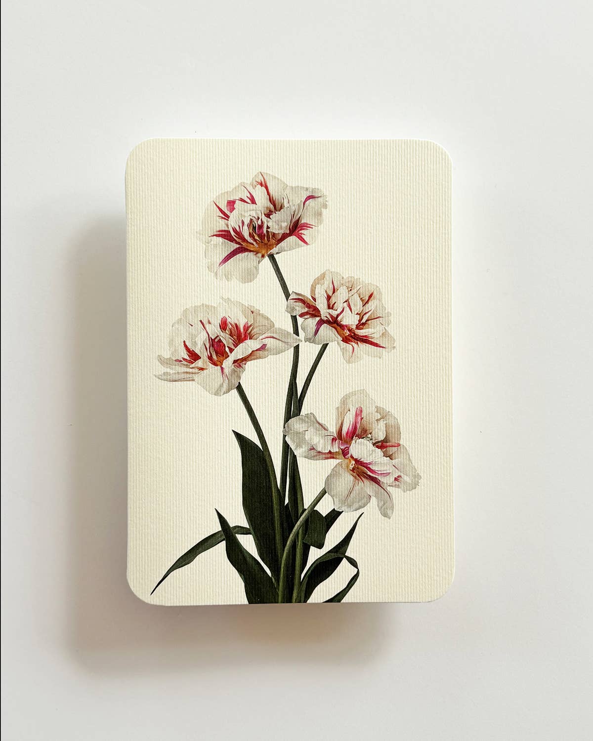 Tulips Greeting Card | Birthday Card | Luxury Cards