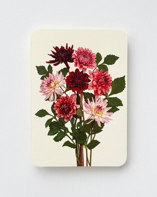 Biglietto d'auguri con dalie da giardino: individuale