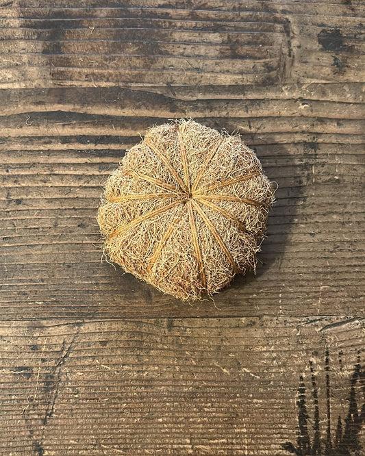 Vetiver Brush - Natural