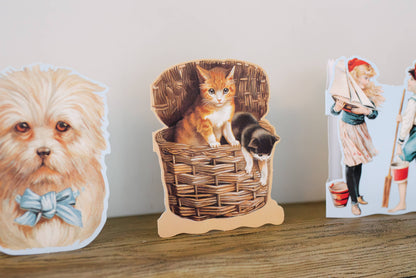 Fun Cards For Place Setting - 13 pieces