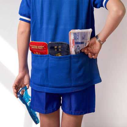 Brigitte Tanaka - Airline Ticket Case
